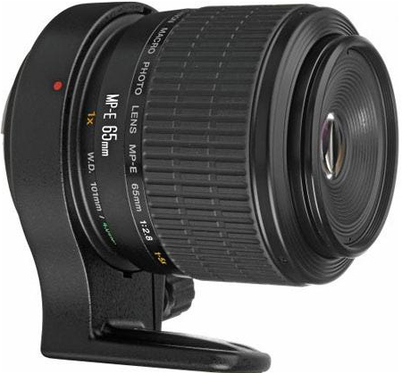 Canon MP-E 65mm f/2.8 1-5x Macro Photo